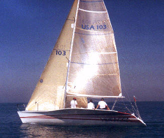 Kiwi 35