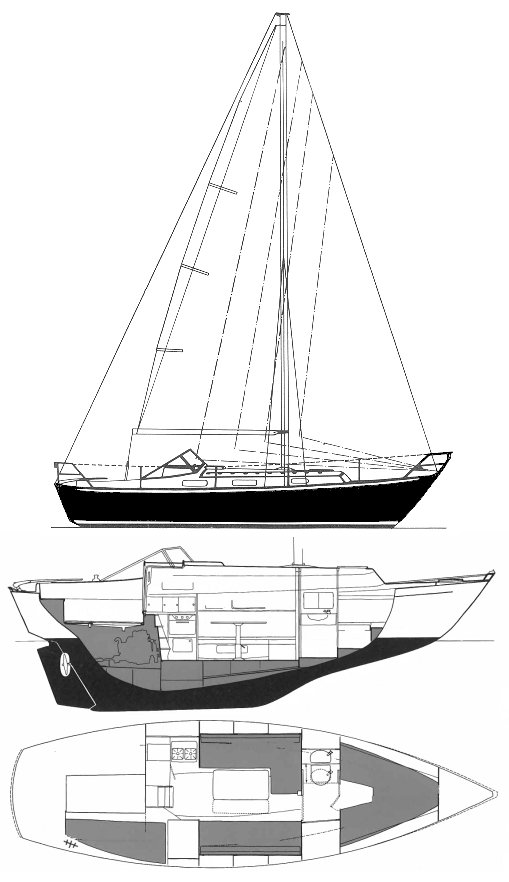 Monsun 31