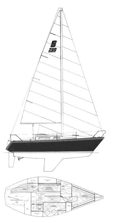 Seidelmann 299