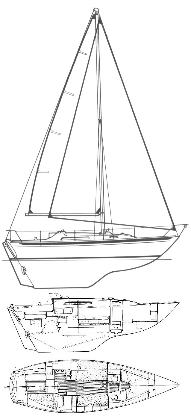 Nicholson 31