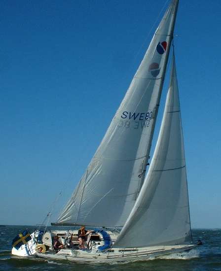 Sirena 38