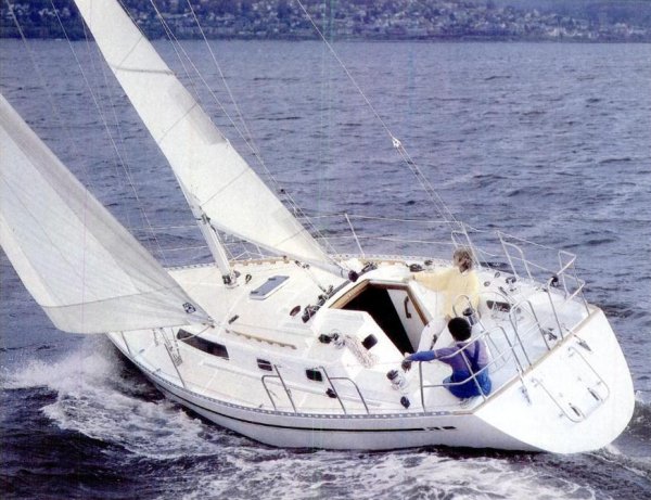 Nordic 34