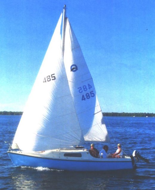 Olympic Dolphin 23