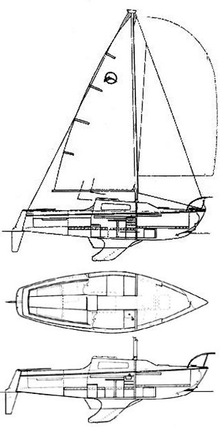 Olympic Dolphin 23