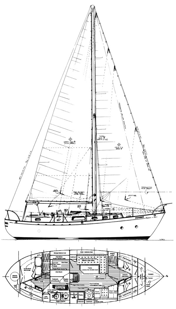 Fantasia 35 (bingham)