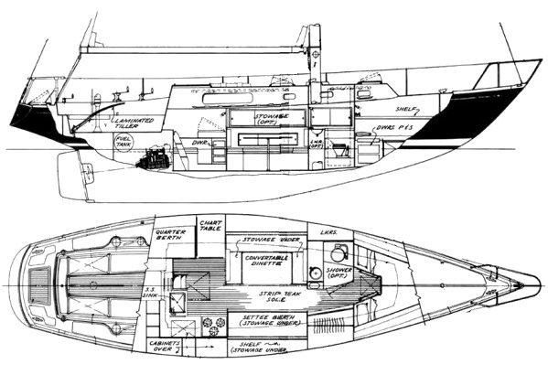 Morgan 41