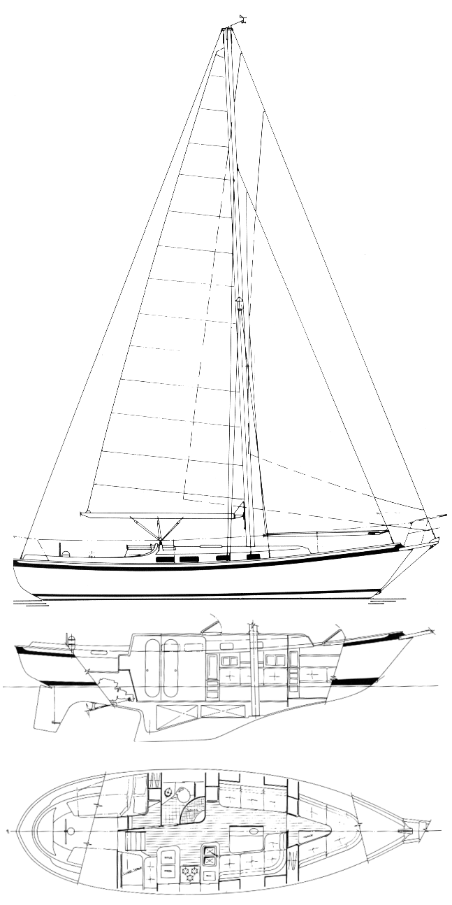 Southern Cross 39