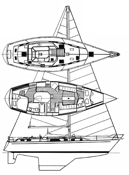 Morgan 43