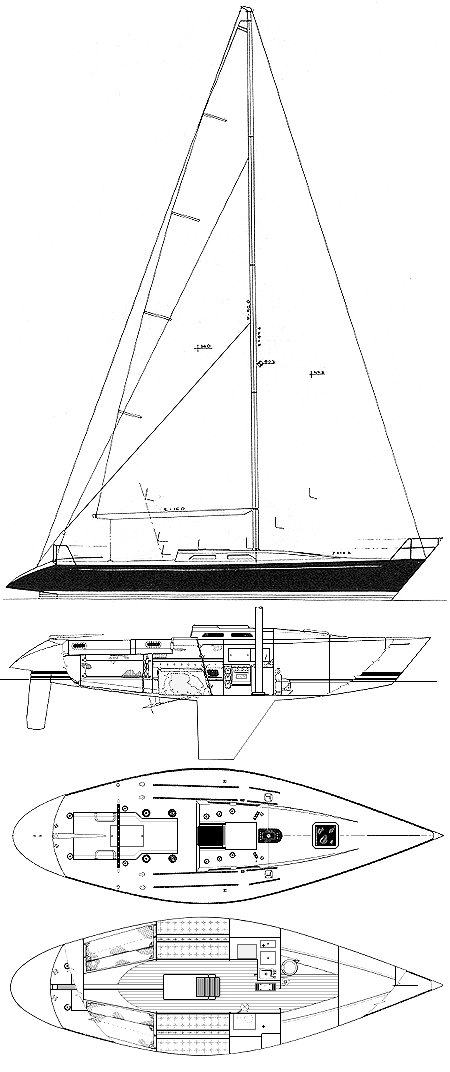 Schock 41