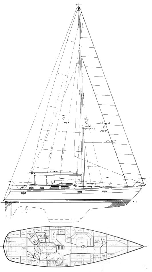 Norseman 447