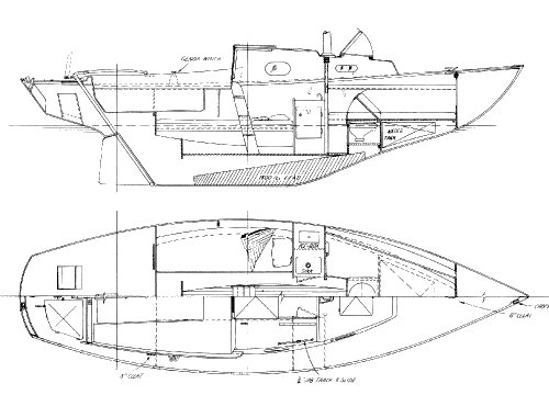 Kittiwake 23