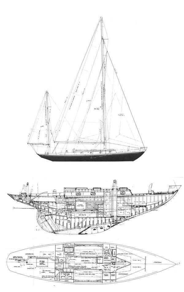 Loki 38 (s&s)