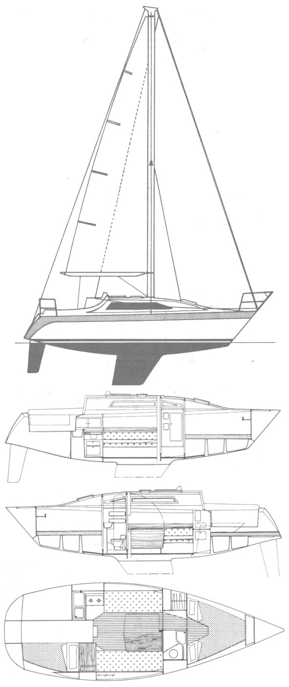 Puma 27