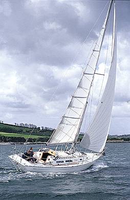 Rustler 36