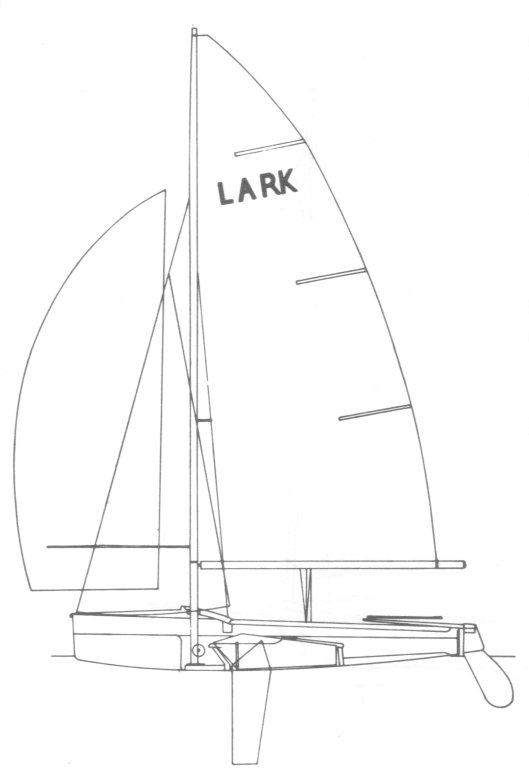 Lark  13