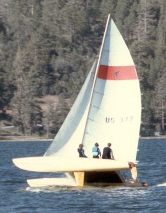 Shark Catamaran