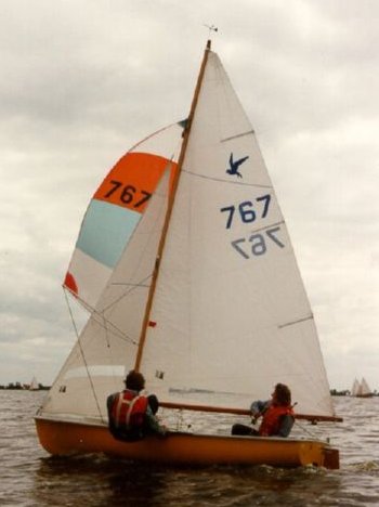 Flying Tern