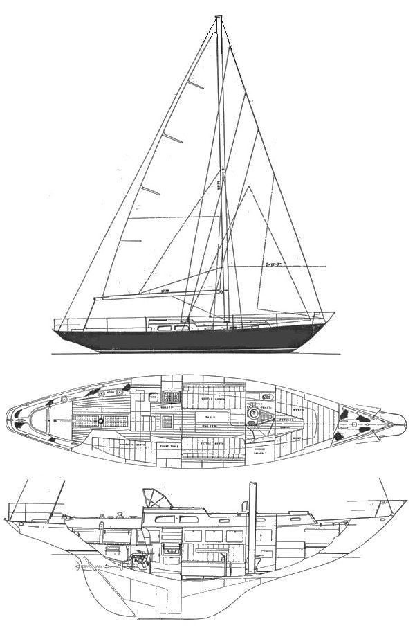 Queen 38 (buchanan)