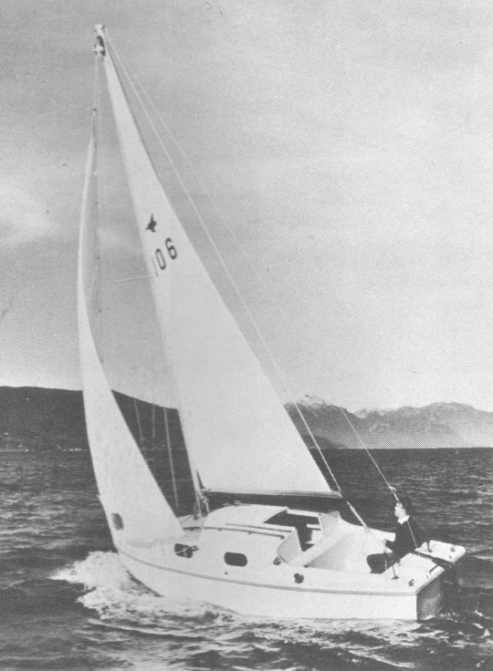 Kingfisher 20