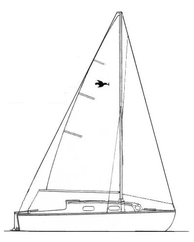 Kingfisher 20