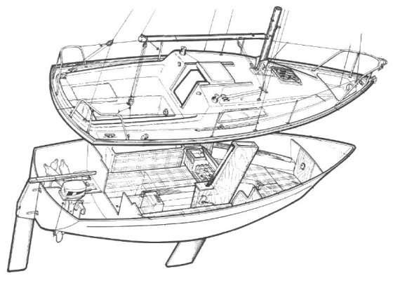 Jaguar 21