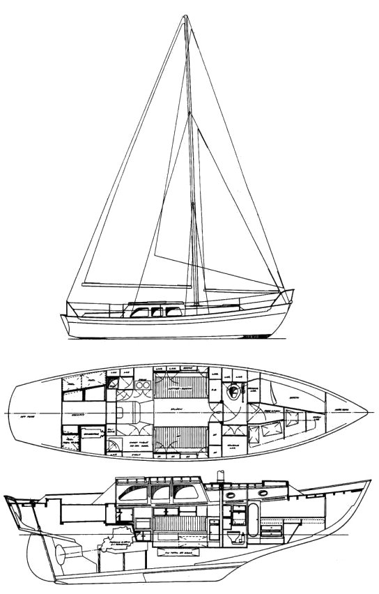 Rose Rambler 35 (laurent Giles)