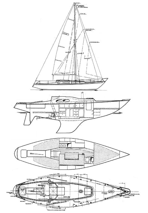 Iw-31