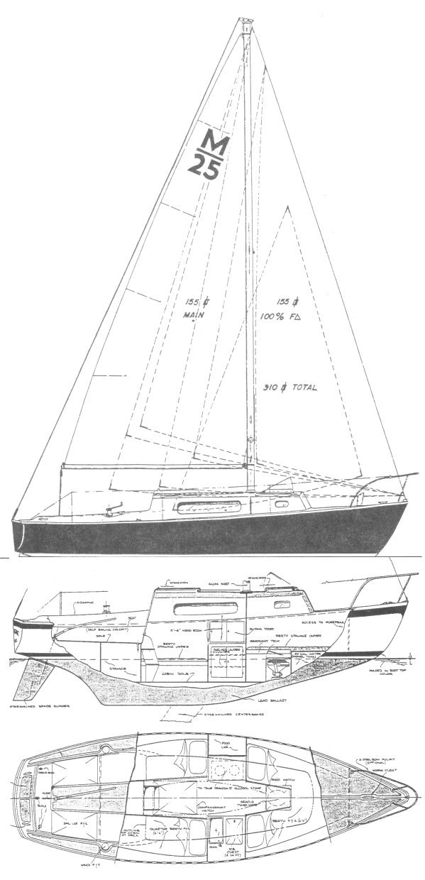 Morgan 24/25