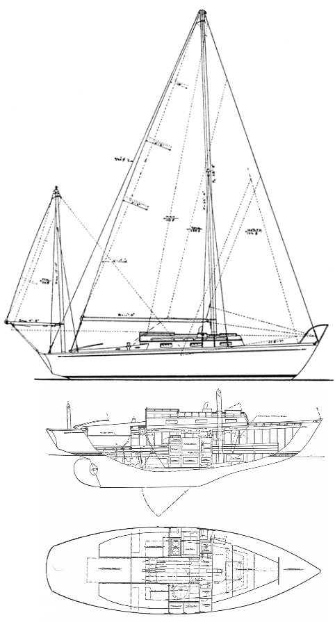 Shaw 24