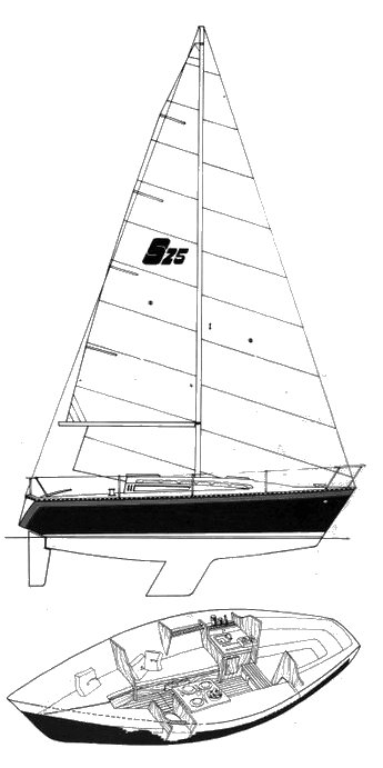 Seidelmann 25