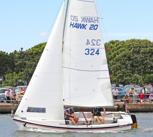 Hawk 20