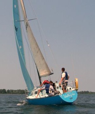 Kiwi 24