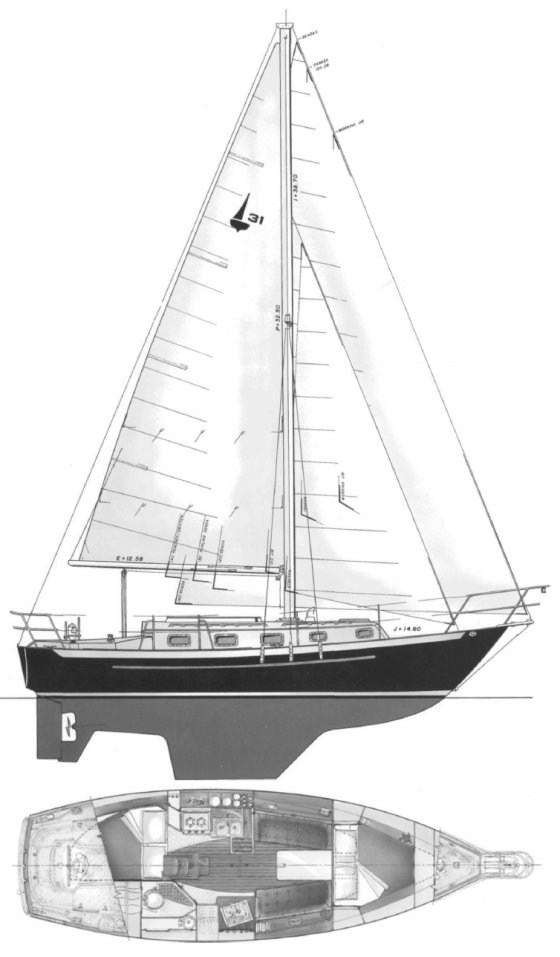 Pacific Seacraft 31