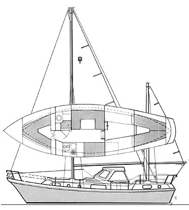 Seaforth 36