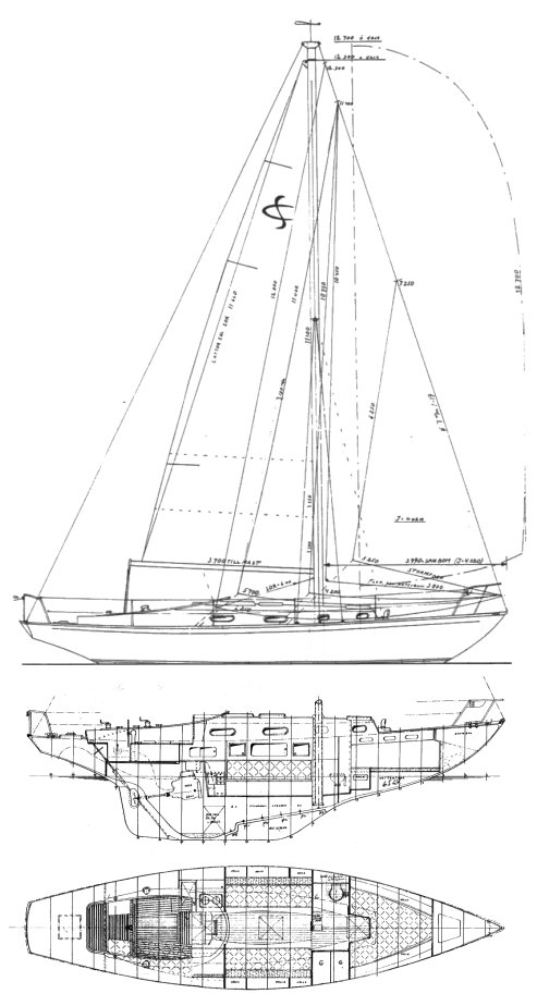 Schelin Cruiser