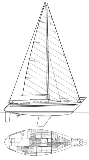 Dullia 30