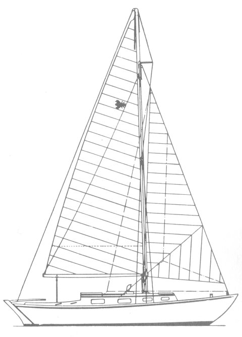 Honey Bee 28