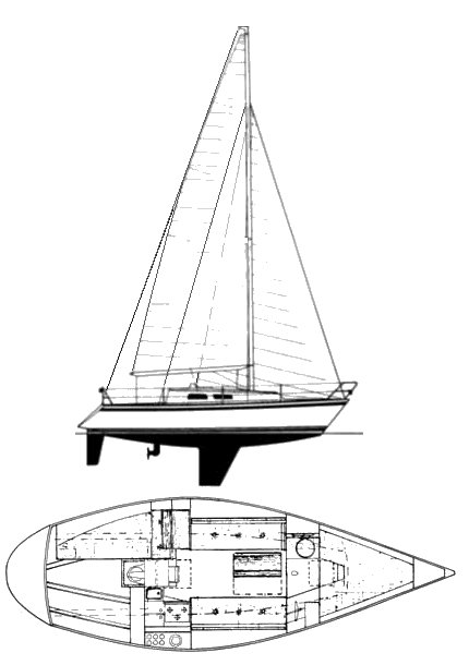 Finn Flyer 31