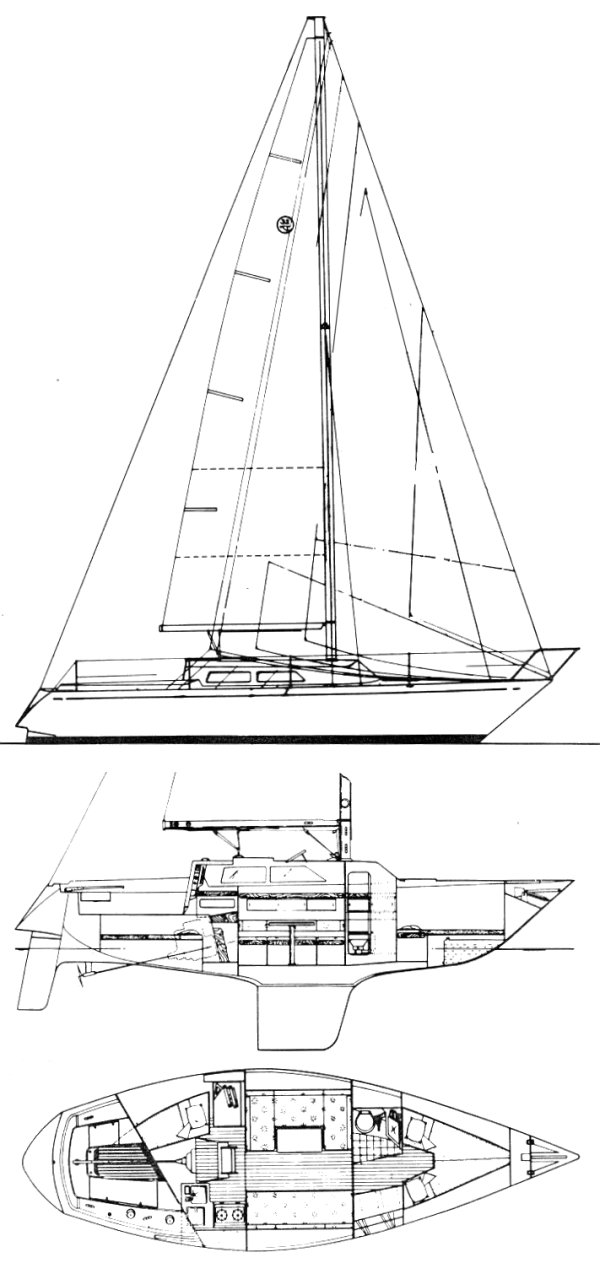 Flamingo 32