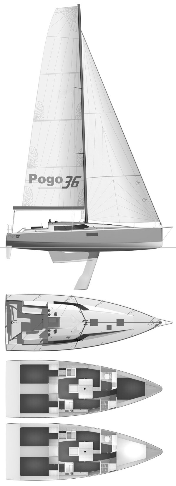 Pogo 36